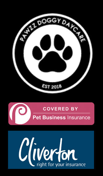 Pawzz Doggy Daycare is fully insured for daycare, grooming and pet shop. Fully insured for apprentices and work placement.BT48 BT47 BT49 Derry Londonderry Eglinton Greysteel Ballykelly