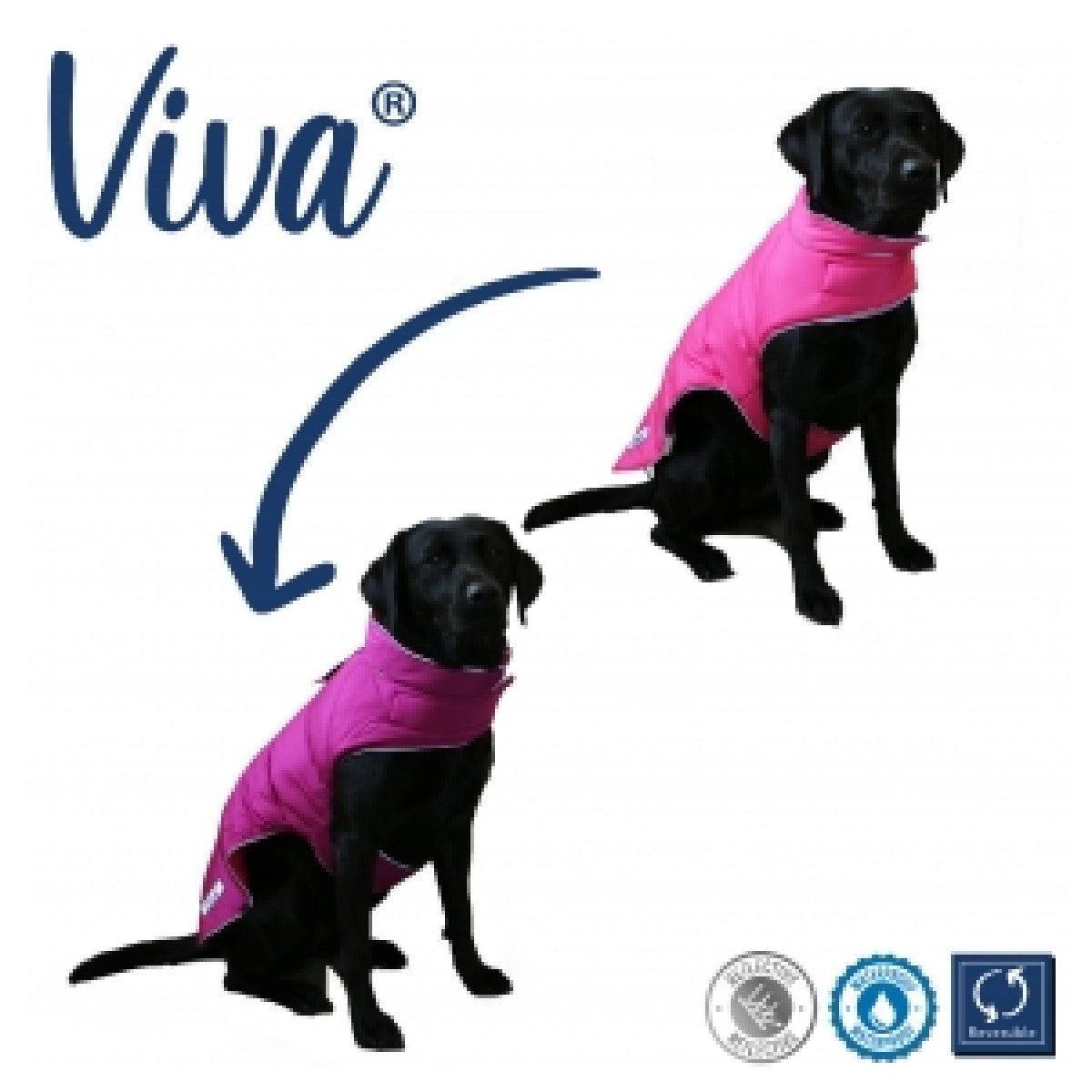 Ancol Viva Reversible Coat