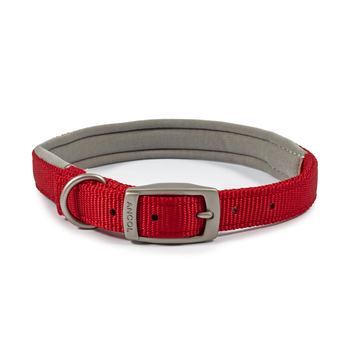 Ancol Viva Padded Buckle Collar