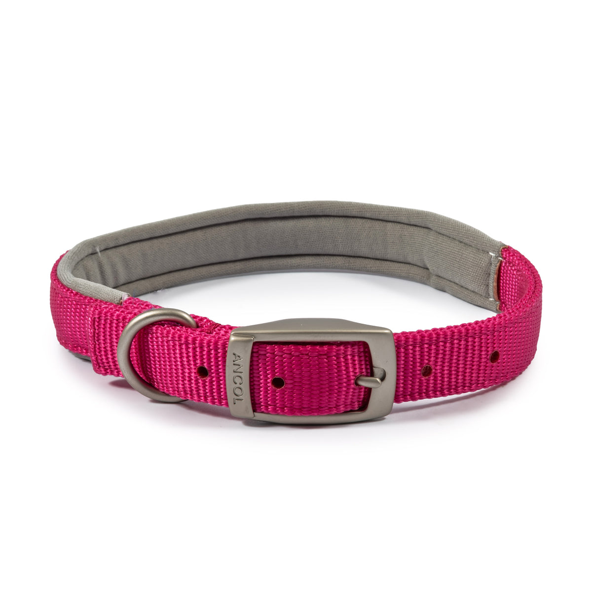 Ancol Viva Padded Buckle Collar