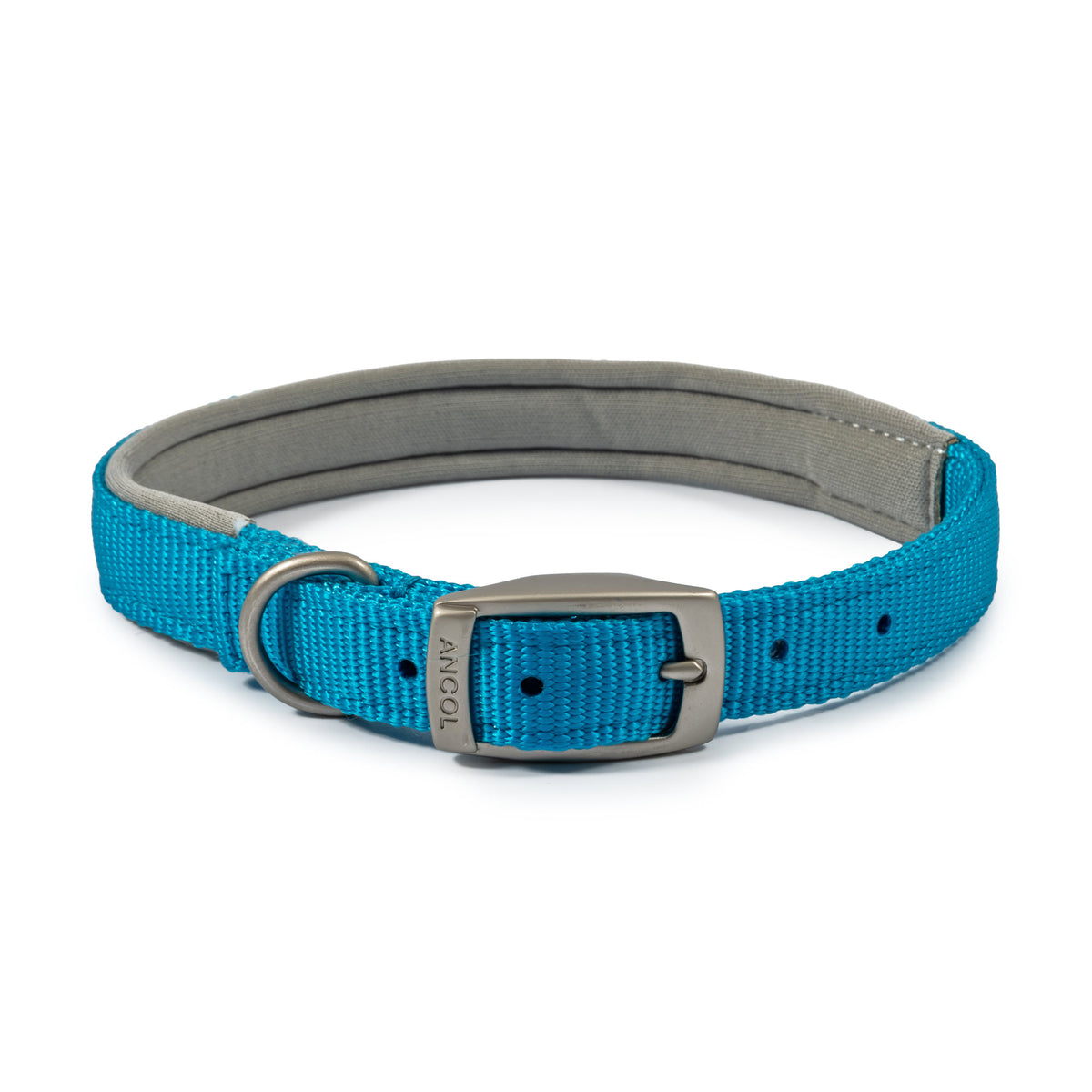 Ancol Viva Padded Buckle Collar