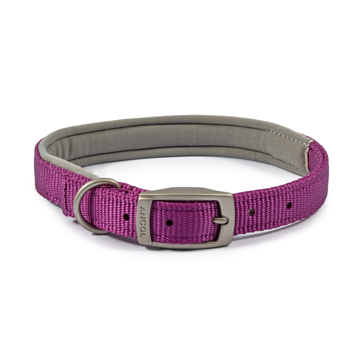 Ancol Viva Padded Buckle Collar