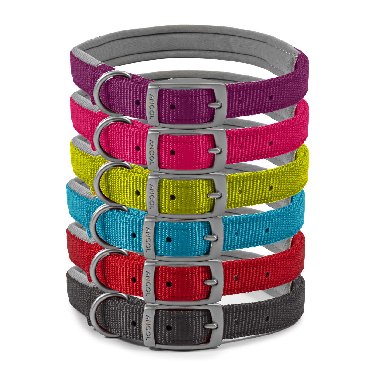 Ancol Viva Buckle  Collar non-padded