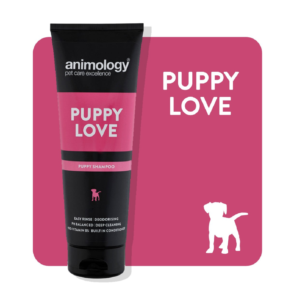 Animology Puppy Love