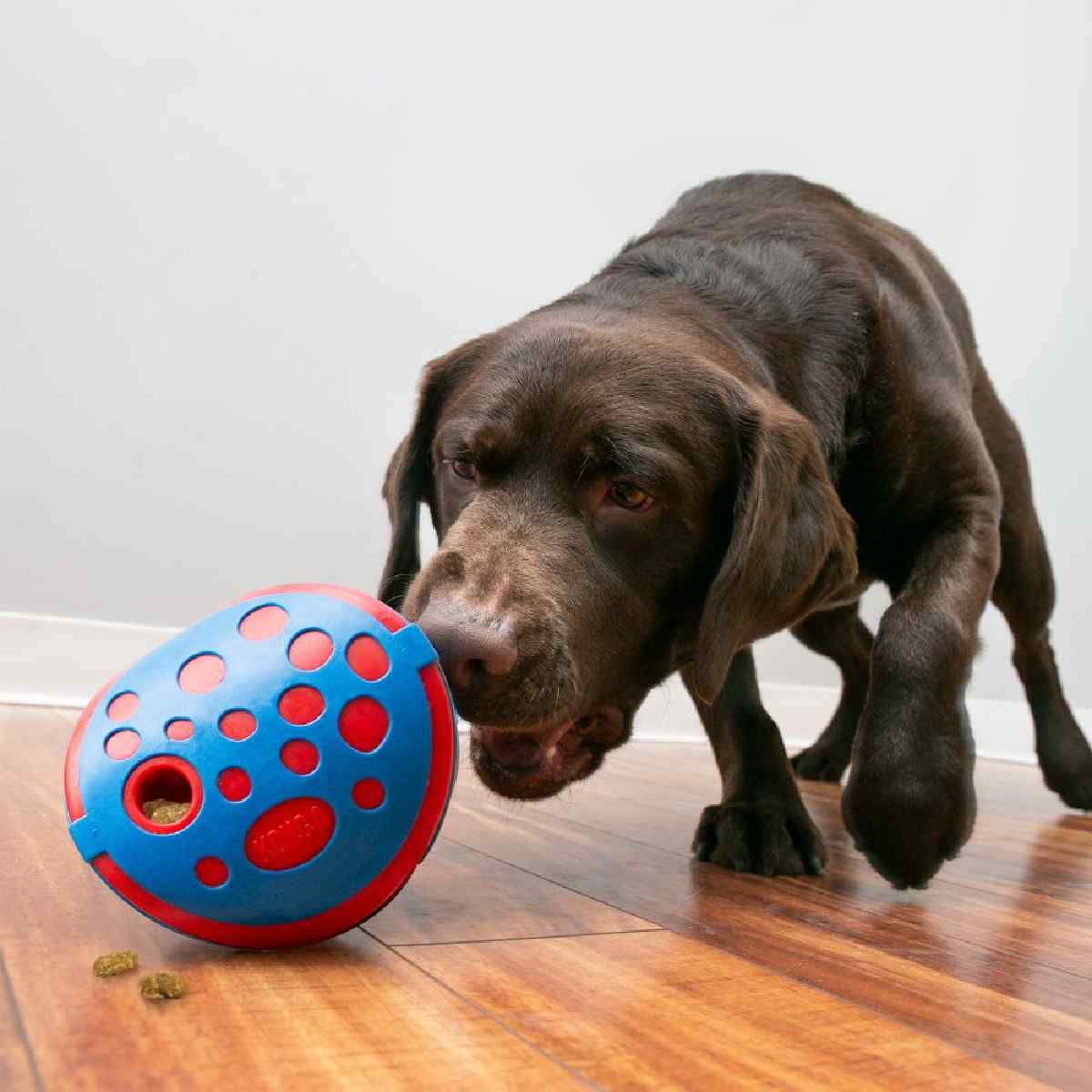 KONG Bambo Feeder Ball Treat Dispensing Dog Toy