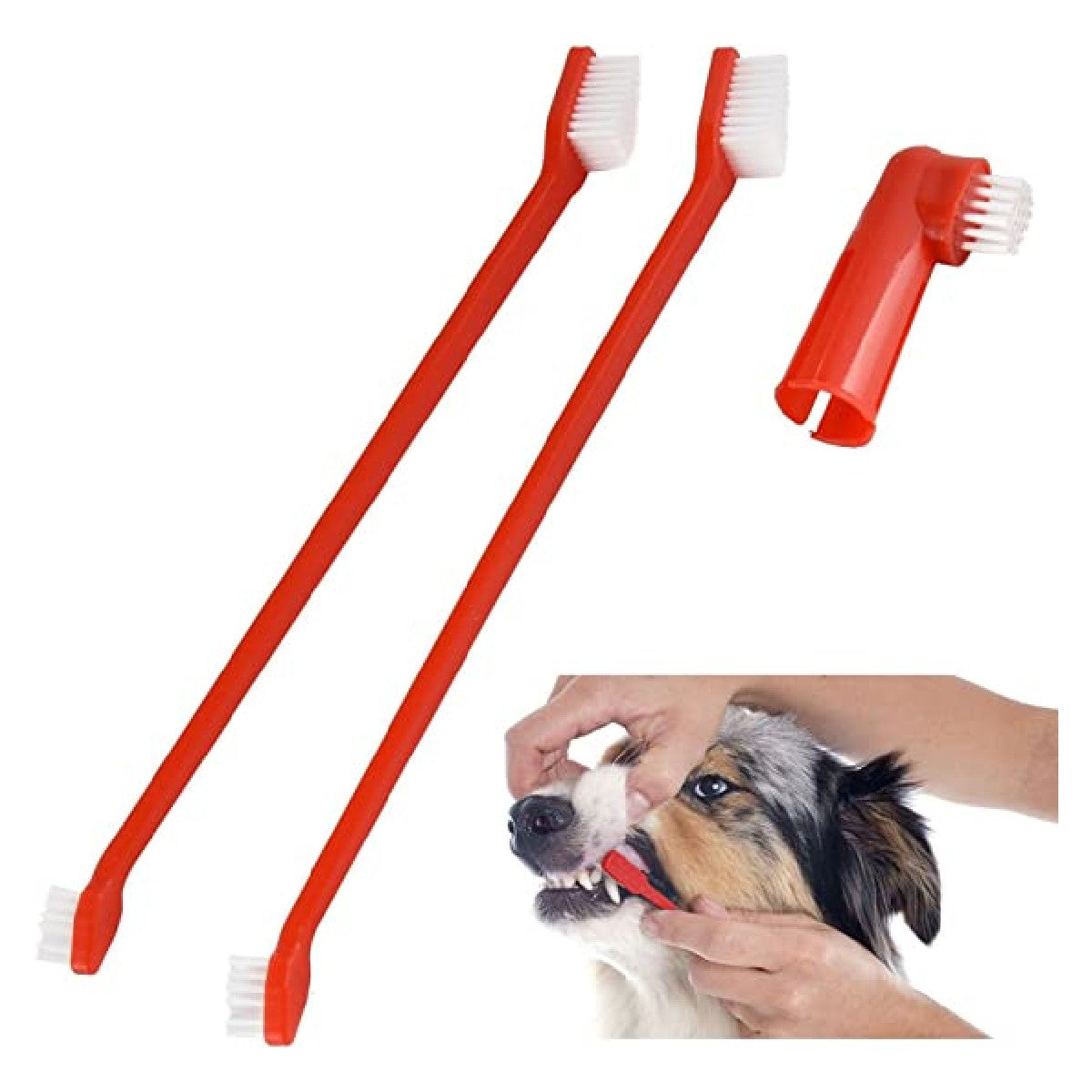 Doggy Dental Care Set