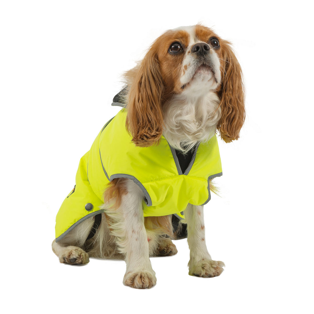 Ancol Stormguard Dog Coat