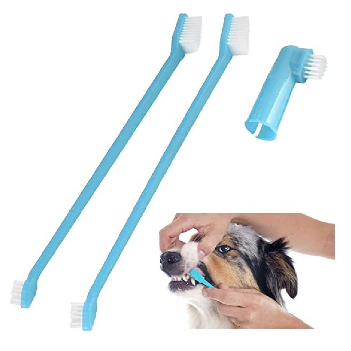 Doggy Dental Care Set