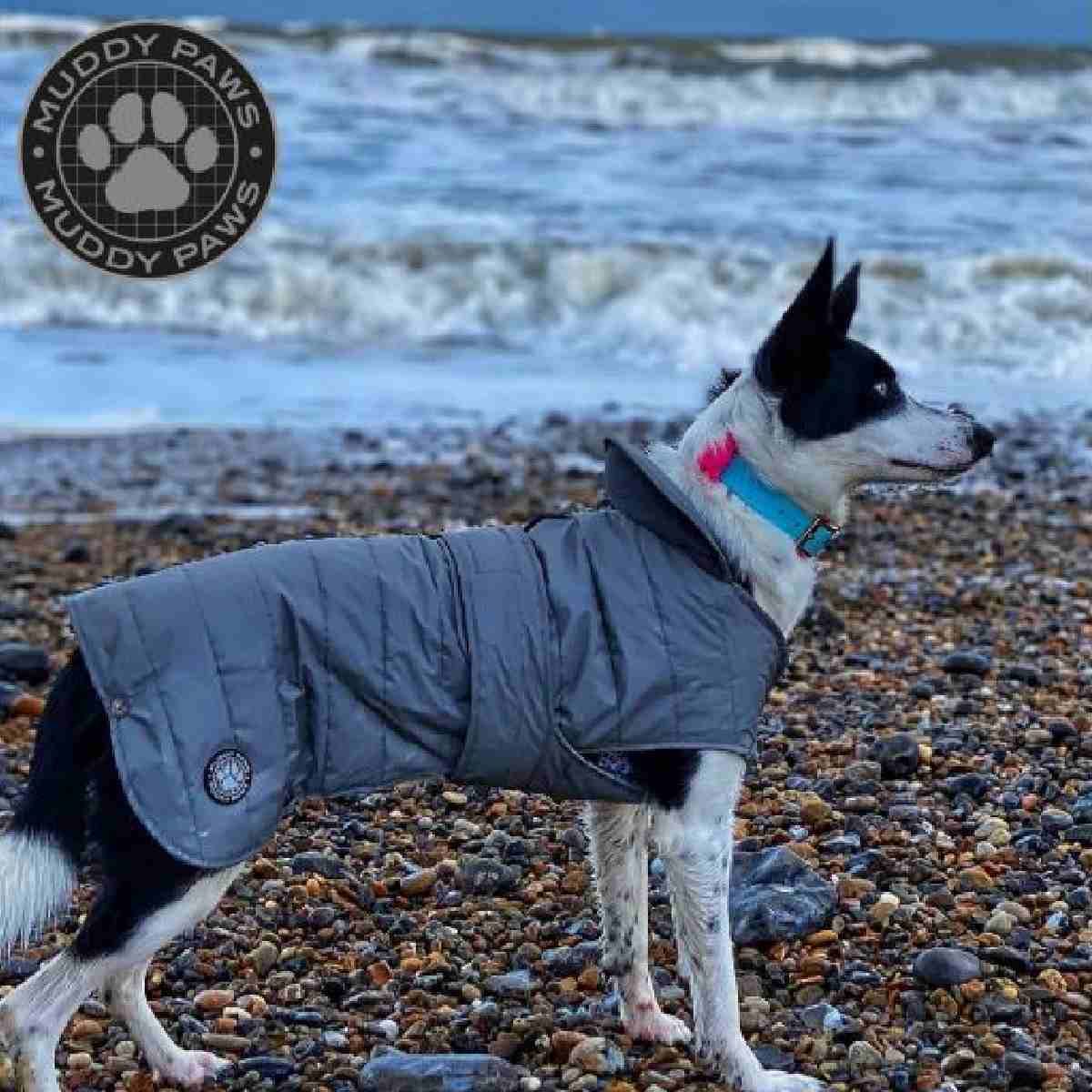 Ancol Muddy Paws Ultimate Reflective coat