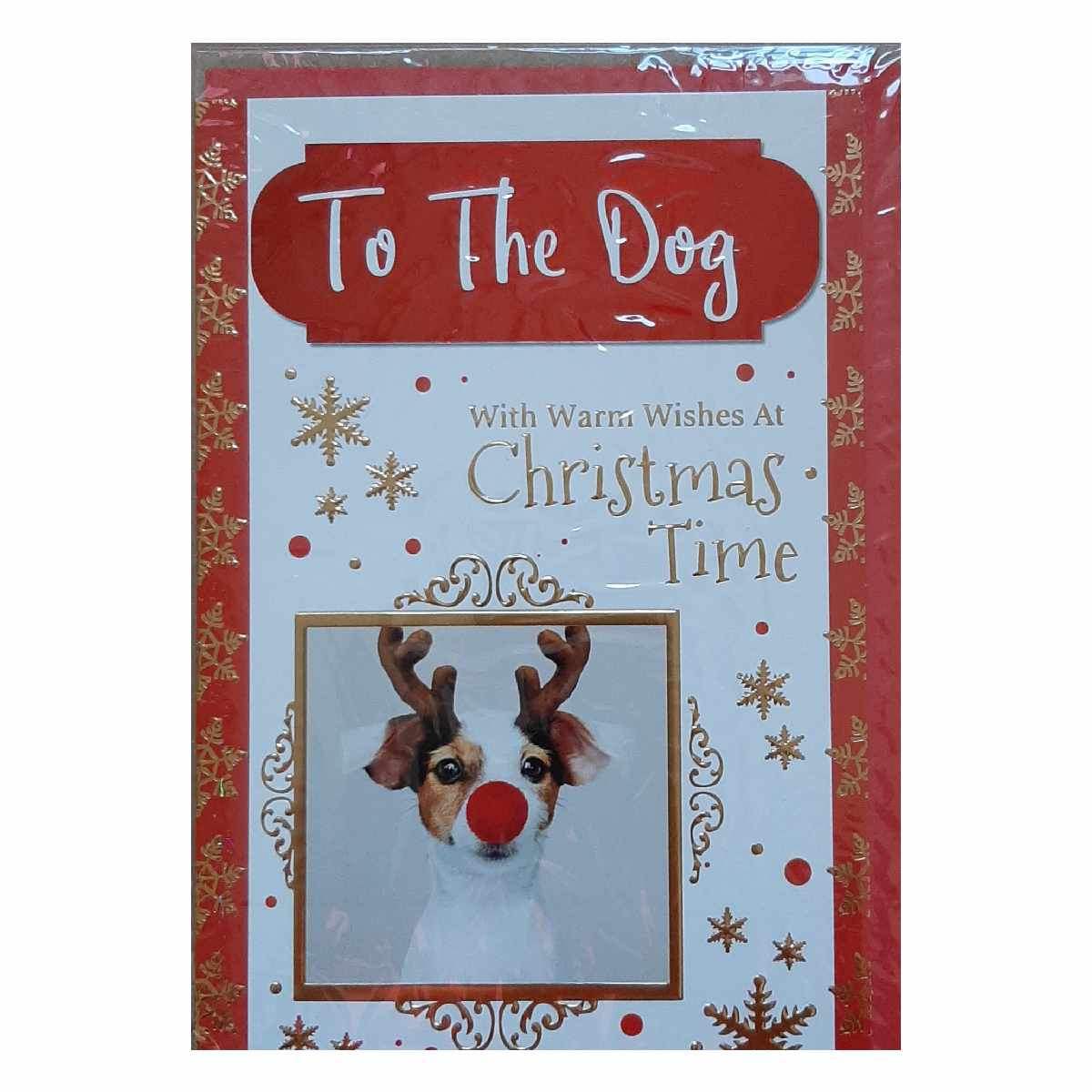 Christmas Card to the Dog