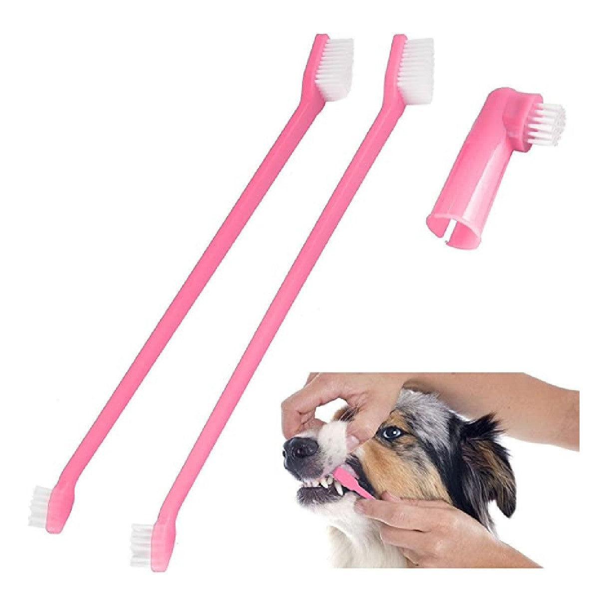 Doggy Dental Care Set